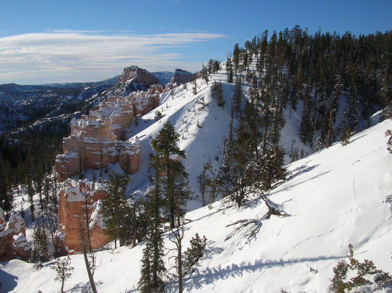 083-Swamp_Canyon_view-8000_feet