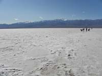 23-views_of_salt_flats_with_Telescope_Peak_in_distance_over_18_miles_away