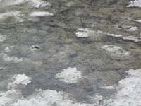 08-very_neat_to_see_rain_drops_in_water_at_Badwater