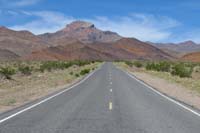 45-wildflower_scenery_along_road