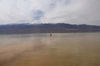 Badwater-20240223X-swimming_in_Death_Valley