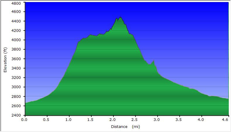 65-hike_profile