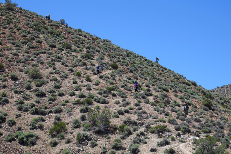 25-group_heading_up_another_steep_section