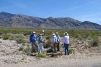38-group_checking_out_more_flowers