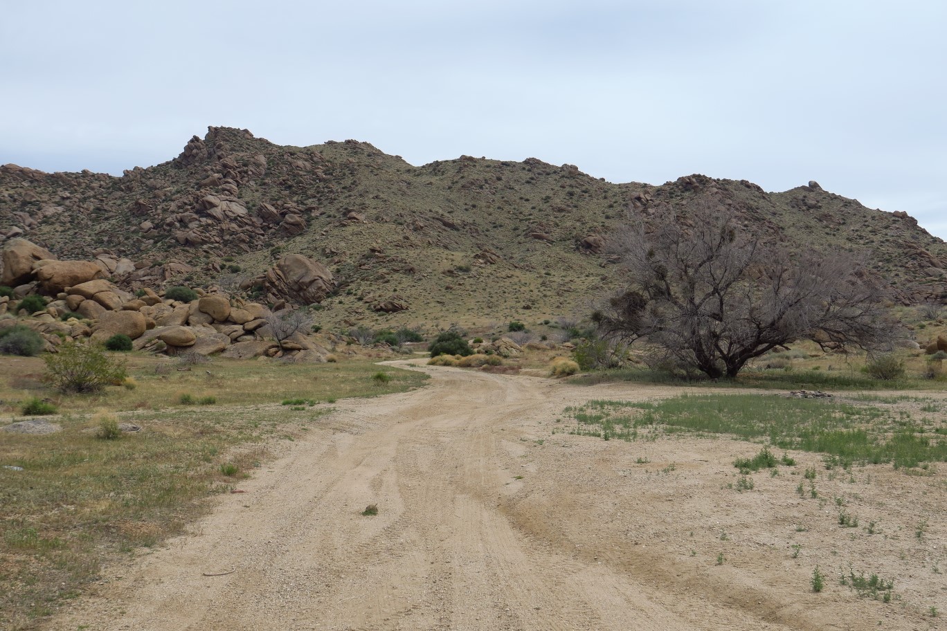 73-Gold_Butte_townsite
