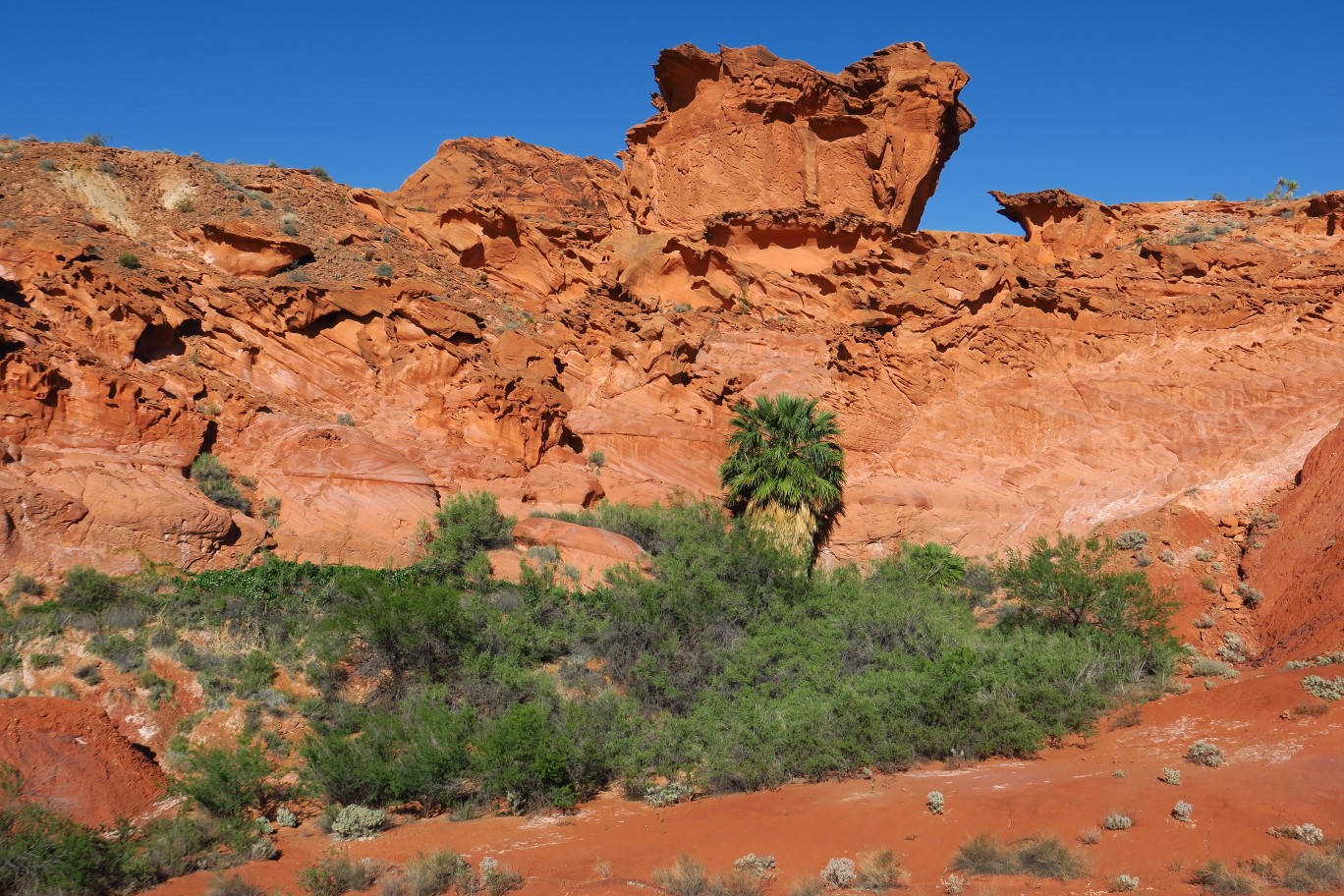 28-interesting_rock_formations_and_vegetation