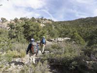 15-traverse_ridgeline-we_dropped_down_into_brushy_area_to_right_but_not_best_idea