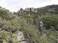 22-more_brush-long_shirt_and_pants_required-found_big_manzanitas