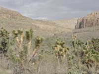 03-zoomed_view-peak_is_tallest_in_distance_a_little_to_right_of_center