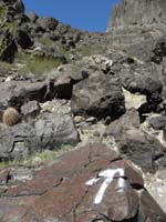 63-lots_of_painted_arrows_marking_the_way-Ranger_Todd_told_me_he's_not_happy_about_recent_markings