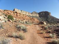 06-Toroweap_Point_in_distance-lots_of_cryptobiotic_soil_in_area-stay_on_trail_or_hop_on_rocks
