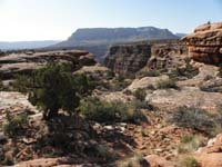 26-pretty_scenery-another_canyon_to_attempt_a_descent