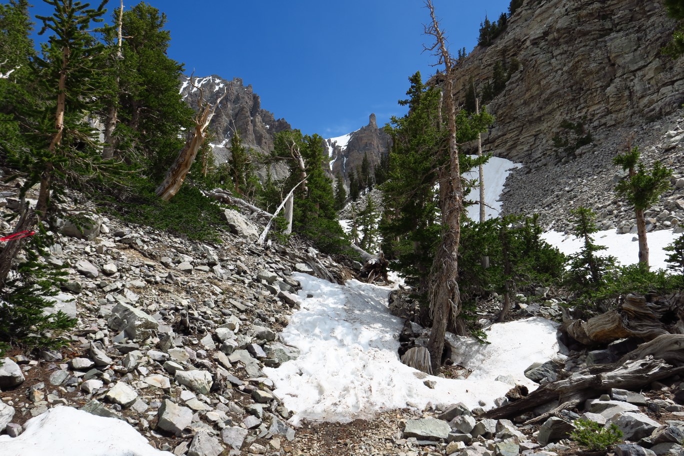 07-trail_covered_with_snow