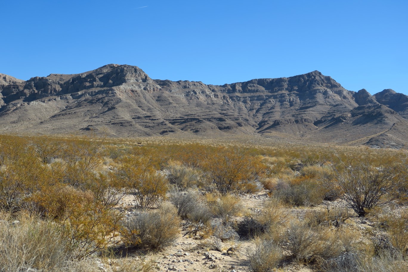 50-our_hike_view