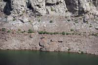 22-zoom_view_of_vegetation_line_which_was_water_level_summer_2021-winter_snowmelt_this_year_should_reach_that_level