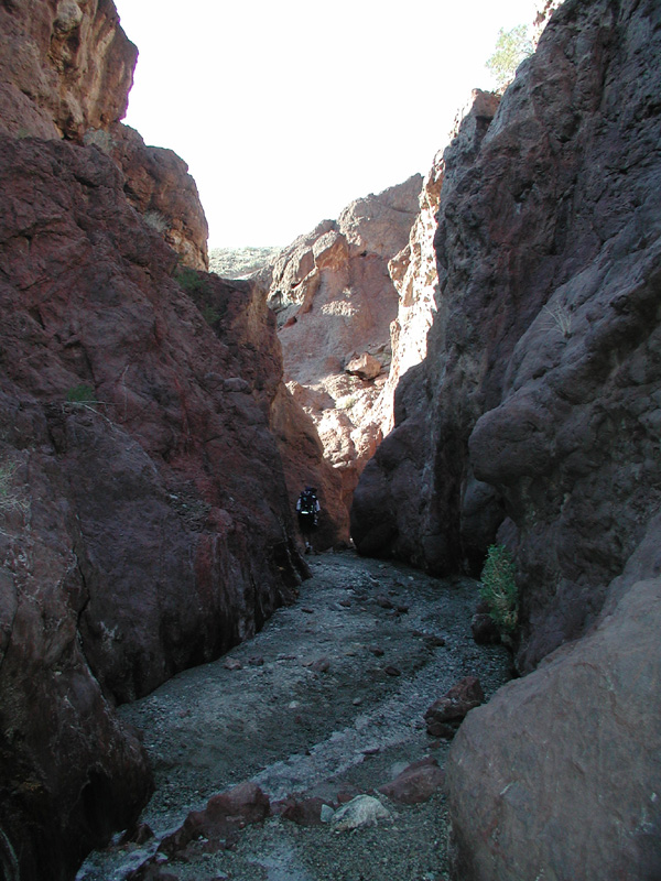 24-Joel_and_Toby_walking_through_the_canyon