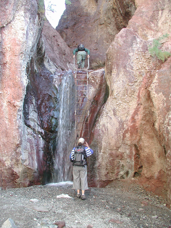 24-Bob_and_Steffi_climbing_the_ladder