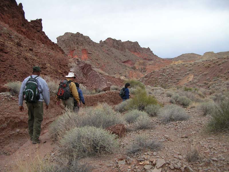 35-Roy_Bob_Kristi_Carole_hiking_in_a_wash