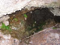 11-natural_spring_in_Girl_Scout_Canyon