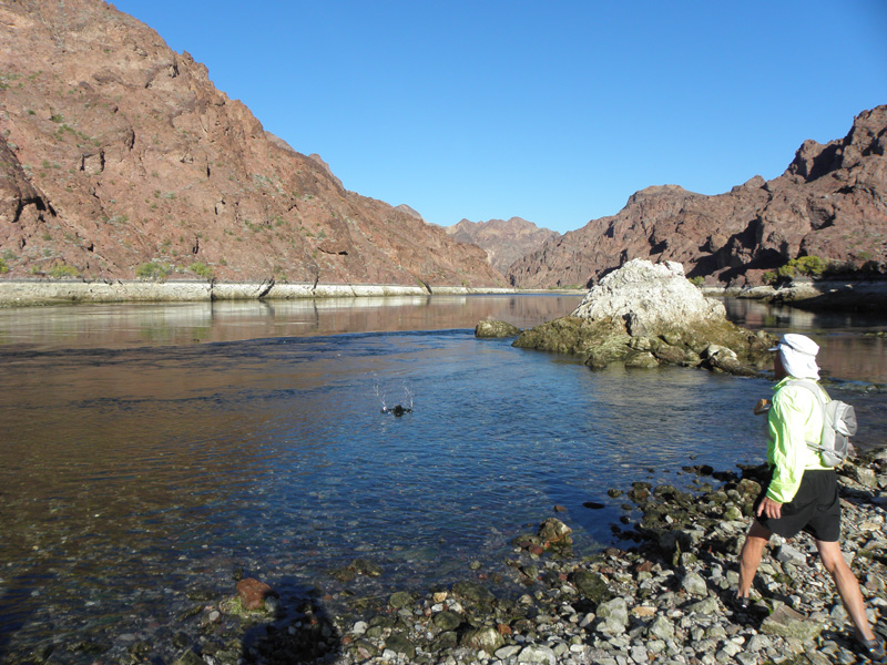 031-Peppe_skipping_rocks_on_the_river