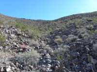 41-would_have_been_better_to_simply_follow_drainage_from_peak-next_time