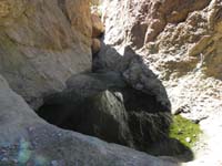 05-water_obstacle-storm_2_days_ago_filled_pond-jumped_fine,on_way_back_couldn't_jump,feet_fell_in