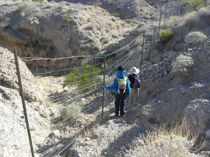 02-need_to_climb_under_the_wildfile_fence