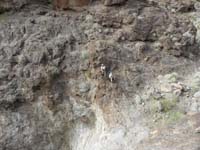 45-1144-crap-really_cliffed_out-water_flowing_below-Laszlo_and_Kay_hang_out_while_I_look_around