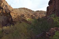 10-looking_back_to_desert_scenery_and_vegetation_from_river