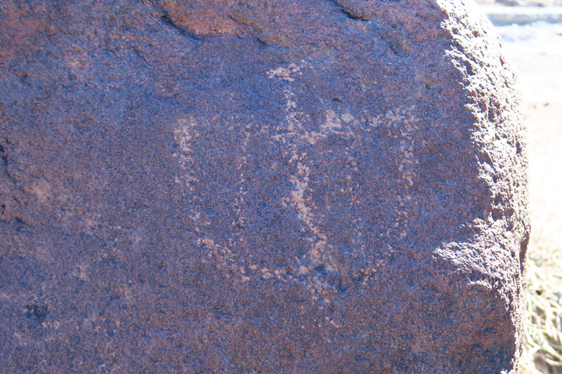 37-petroglyph