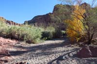 17-lush_vegetation_before_the_hot_spring