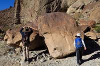 55-John_and_Kenny_admiring_all_the_petroglyphs