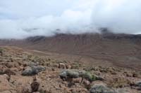 32-scenic_view_from_Razorback_Ridge_HP_looking_back_to_where_we_came_from