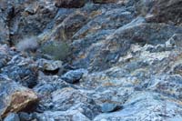 32-very_neat_granitic_rocks_with_quartz