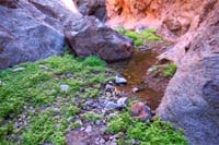 51-scenic_pool_with_water_and_vegetation