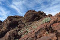 60-I_went_150_feet_lower_than_group_for_better_view-looking_back_at_group