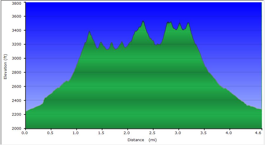 91-hike_profile