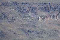 43-took_them_about_8_minutes_to_rise_2000_feet-they_are_getting_into_formation