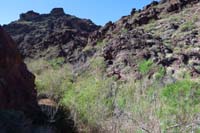 23-more_of_the_riparian_area_we_scooted_around-young_tamarisks_mixed_in