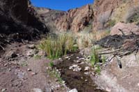 38-reached_another_natural_spring-this_one_is_warm_water-looking_up_drainage