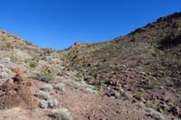 34-looking_back_to_group_traversing_desert_terrain