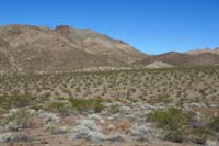 55-group_traveling_through_the_desert_with_our_last_peak_ahead,Basalt_Peak