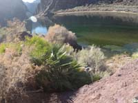 17-scrambling_down_this_way_to_get_to_river