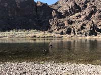 28-I_walked_a_bit_into_the_Colorado_River_since_low_flow-water_is_quite_chilly_so_I_won't_submerge