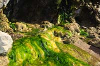 30-amazing_micro-climate_environment-easy_to_access_since_river_is_low