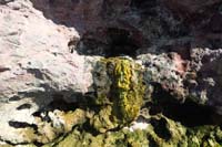 35-same_amazing_micro-climate_environment,but_further_away