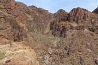 12-looking_up_Death_Pit_Canyon_rappel,we_scrambled_down_into_canyon