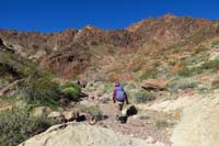 11-scenery_along_the_way