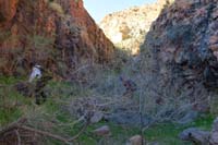 12-upon_reaching_lots_of_thorny_acacia's,class_5_dry_waterfall,back_up_go_around_to_right