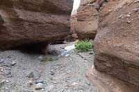 32-traveling_through_the_small_slot_canyon